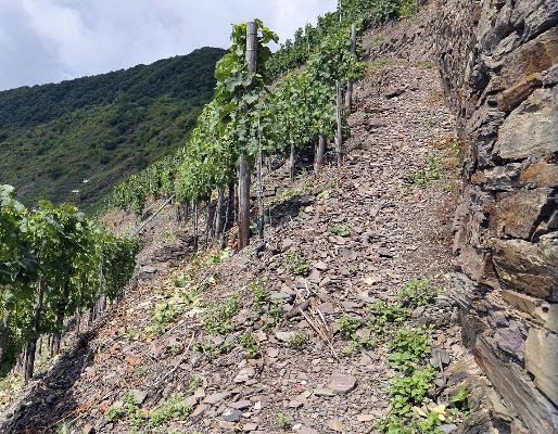 Weinbergsmauern Weinbergsmauern
