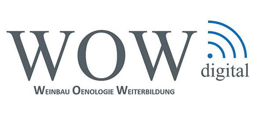 WOW digital