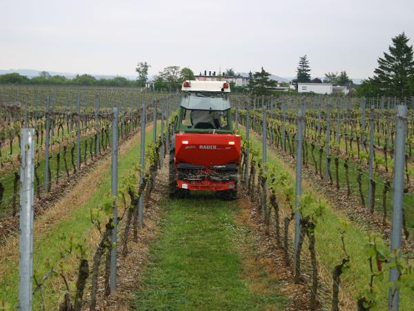 Düngung Weinbau Düngerstreuer 2