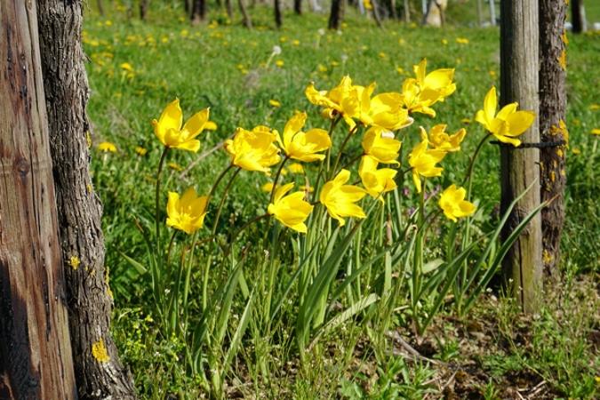 Leuchtpunkt Umlaufberge 3