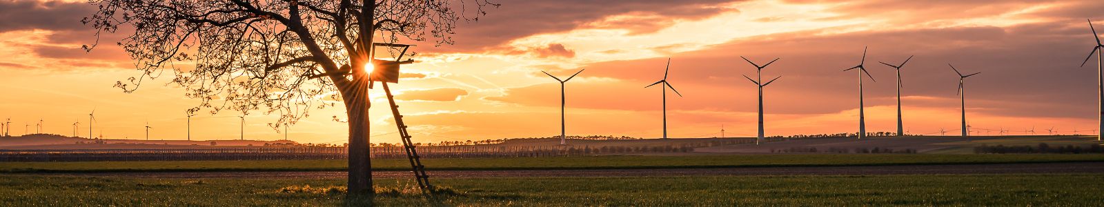 Windräder in der Abendsonne ©Dr. Köhler